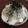 ふか谷's cooksnap of when they made とにかく簡単で美味しいしらす丼.