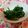 クック4120W0☆'s cooksnap of when they made ほうれんそうシンプルおひたし.