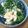 そらてんママ's cooksnap of when they made 簡単(^^)ブロッコリ大量消費!.