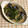 nikiGFK2O0's cooksnap of when they made イワシの刺身アヒージョ風.