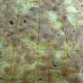 チェリとも's cooksnap of when they made 簡単★まぜるだけのリンゴケーキリンゴ.