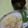 まごころ食堂's cooksnap of when they made ヤマサ昆布つゆ白だしdeたけのこご飯.