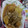 ちゃーきー★'s cooksnap of when they made 里芋・大根・ちくわぶでそぼろ煮！.