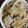 クック3TXBL2☆'s cooksnap of when they made 吉野家風 豚丼.