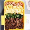 ゆーちゃん？'s cooksnap of when they made お弁当(10/15)牛そぼろ弁当.