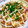 ⭐とっくん⭐'s cooksnap of when they made ＊もやしとちくわの卵とじ～お好み焼き風＊.