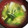 ムーミン☆ママ's cooksnap of when they made 朝食に！白菜とエノキタケのみそ汁.