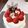 クックJSQBSV☆'s cooksnap of when they made 卵不使用クリスマスタルトケーキ♪.
