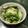 ひよこひよひよ's cooksnap of when they made 白菜の浅漬け（柚子胡椒）.