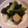 花音mama's cooksnap of when they made 我が家の＊わけぎのぬた＊.