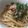 myumyuシンバ's cooksnap of when they made 家にある食材で！絶品納豆ツナパスタ.