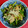☆よしにょ☆'s cooksnap of when they made ピーマンとキムチーズの和え物.
