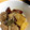 ビリー中毒's cooksnap of when they made にぎにぎ楽しい♪小間肉とさつまいもの煮物.