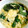 928るびすけ☆☆'s cooksnap of when they made 春菊とえのきの中華スープ.