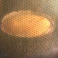 ぷぷぷりぷりぷりこ's cooksnap of when they made やわらか、基本のスポンジケーキ☆.