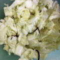 のりこったん's cooksnap of when they made 白菜と塩こんぶ和え.