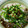 重次郎's cooksnap of when they made 明太子&とろろの温かいお蕎麦.