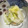 あたむ❤189's cooksnap of when they made 白菜と大根の蒸し煮.