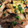 オージー子's cooksnap of when they made 混ぜて焼くだけ　豚のみそ生姜焼き.