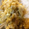 フクソノ's cooksnap of when they made 超簡単！玉ねぎ&ツナの卵炒め.