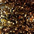 にだんバラ's cooksnap of when they made 昆布の佃煮.