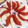 matzoo's cooksnap of when they made 切って並べてかけるだけ♪簡単♪カプレーゼ.