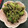 まりなん☻'s cooksnap of when they made ＊アボカドとツナの塩昆布和え＊.