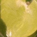かかかよ's cooksnap of when they made じゃがいもとほうれん草のポタージュ.