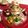 allure☆'s cooksnap of when they made サンタも喜ぶツリーの簡単クリスマスケーキ.