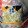 seacomet's cooksnap of when they made もやしの保存方法☆.