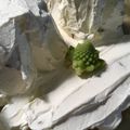 ままろん333's cooksnap of when they made 食べられるゼータ関数.