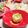 ちえこキッチン's cooksnap of when they made アボガド・マグロとサーモンのケーキ.