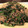 クックPJUO24☆'s cooksnap of when they made 本格的に作るひき肉と春雨炒め.