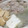 ﾌﾞﾚﾝﾀﾞ's cooksnap of when they made 【基本】ネギのみじん切り.