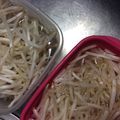 ﾌﾞﾚﾝﾀﾞ's cooksnap of when they made モヤシの保存方法.