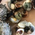 ♪さ♪'s cooksnap of when they made さざえの身をコロンと出す方法.