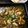 ルぴあ's cooksnap of when they made イカゲソの肝アヒージョ.