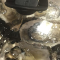 mujica♪sa's cooksnap of when they made ＊絶品！殻付き牡蠣の酒蒸しレモンがけ＊.