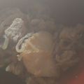 はらさわひでゆき's cooksnap of when they made 水なし油なし♡簡単肉じゃが.
