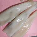 ゆね先生's cooksnap of when they made 基本のイカのさばきかた。.