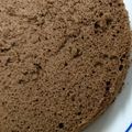 くいむし's cooksnap of when they made ココアスポンジケーキ.