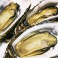 thiaki2's cooksnap of when they made フライパンで作る！超簡単！牡蠣の酒蒸し.