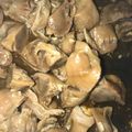 ma___111's cooksnap of when they made おやじ犬特製！砂肝の粕醤油炒め.