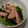 よこちぃいぃ's cooksnap of when they made 小松菜と油揚げのあごだしつゆ炒め.