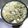 ☆ありか358☆'s cooksnap of when they made 無限牡蠣鍋(物理).
