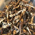 あむろ385's cooksnap of when they made パラパラ〜たつくり.