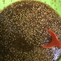クックQ2VQED☆'s cooksnap of when they made 手作り♪旨ぁい！しゃぶしゃぶのタレ.