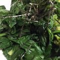 ちゃこ☆★☆'s cooksnap of when they made 料亭のような☆❀ほうれん草のおひたし❀.