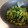 yukoko☆'s cooksnap of when they made 簡単！美味しい☆大根の葉炒め #うちの.