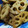 chokdee's cooksnap of when they made ごろっと！蓮根の甘辛炒め！.